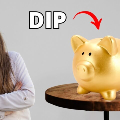 DIP - DLOUHODOBÝ INVESTIČNÍ PRODUKT: VYPLATÍ SE ?