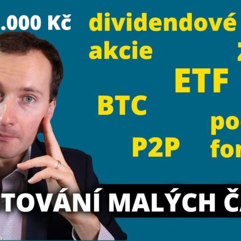 Jak investovat malé částky (pro začátečníky)