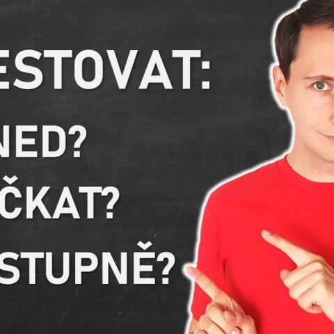Mám investovat ihned, postupně, nebo počkat?│Investiční strategie pro nákup akcií