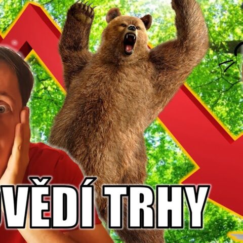 Proč se těšit na medvědí trhy?