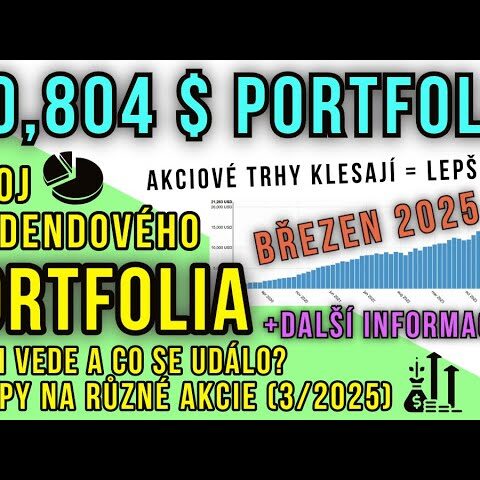 Vývoj akciového portfolia v polovině měsíce BŘEZEN 2025 a kam by se dalo nyní investovat?